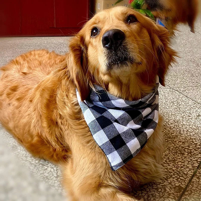 Plaid Dog Bandana with Bow Tie Collar