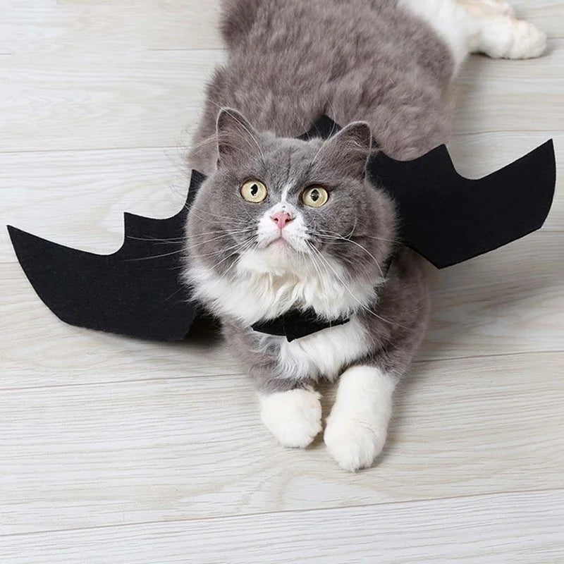 Halloween Bat Wings Pet Costume – Dog & Cat Cosplay