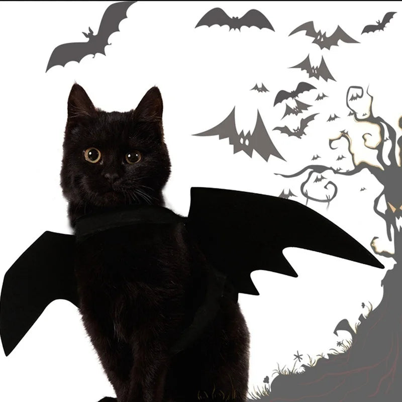 Halloween Bat Wings Pet Costume – Dog & Cat Cosplay