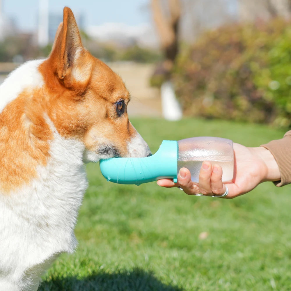 Portable Pet Water Bottle 300ML – Travel Drinking Bowl