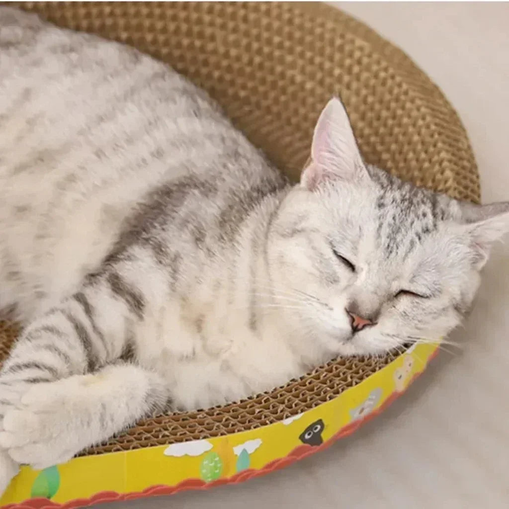 Oval Cat Scratching Board – Corrugated Cardboard