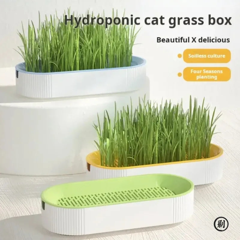 Hydroponic Cat Grass Box Cat Treats Catnip Hydroponic Soilless Planting Cat Grass Pot Set for Easy Growth