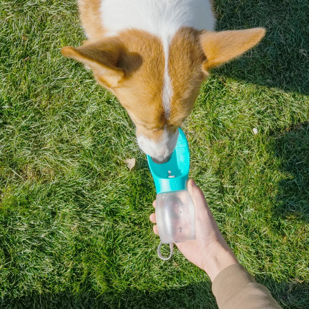 Portable Pet Water Bottle 300ML – Travel Drinking Bowl
