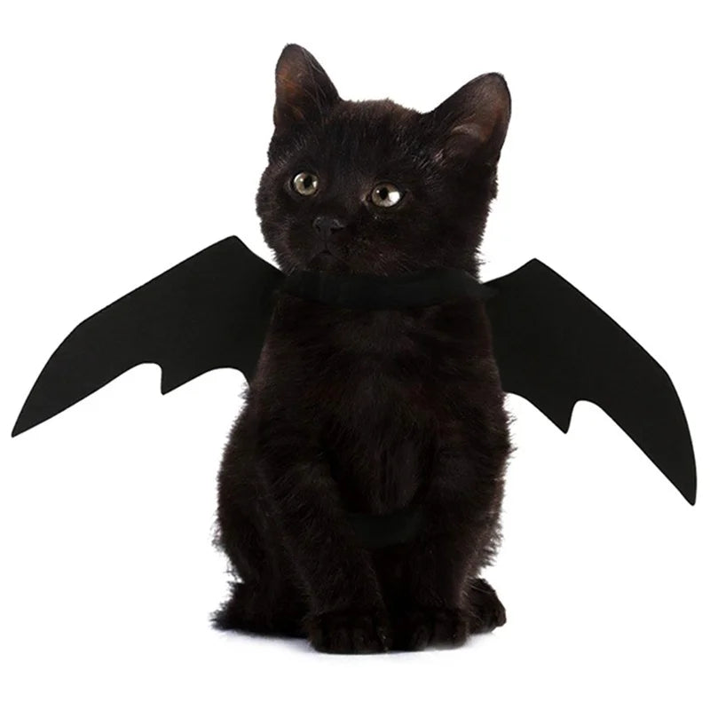 Halloween Bat Wings Pet Costume – Dog & Cat Cosplay